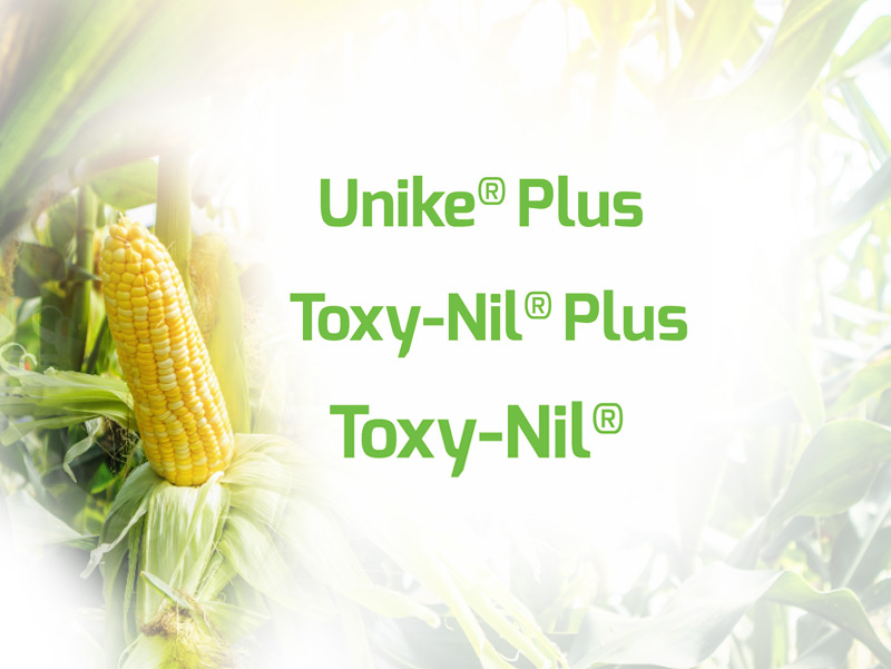 Unike Plus, Toxy Nil, Toxy Nil
