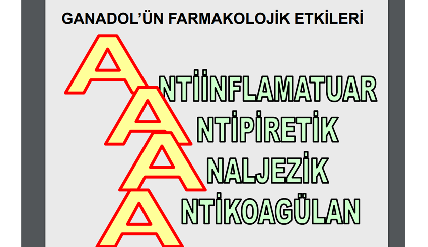 Ağrı Kesici Ateş Düşürücü